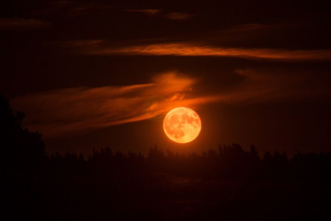 Blood Moon Stock Image