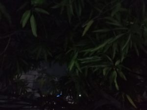 infinix hot 10s camera sample night