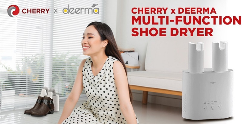 cherry deerma multi function shoe dryer price