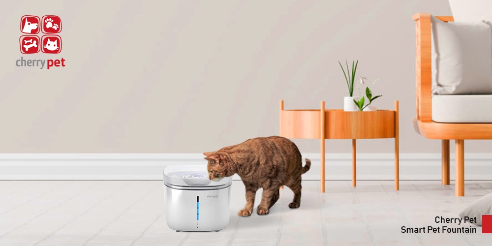 Cherry Pet Smart Pet Fountain May 2022